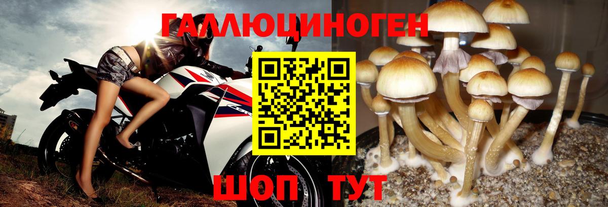 Нерюнгри  Галлюциногенные грибы мухоморы  Вход с VPN 
