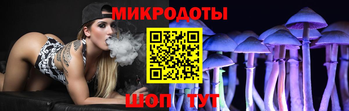 Галлюциногенные грибы Cubensis Нерюнгри